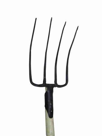 Picture of BS-0431 wooder handle steel fork/1*24