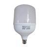 图片 50W B22 RED LED BULB/1*24