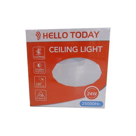 Picture of CE101 24W CEILING LIGHT/1*10