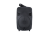 Picture of GTS-1248 8''Wireless speaker/1*8