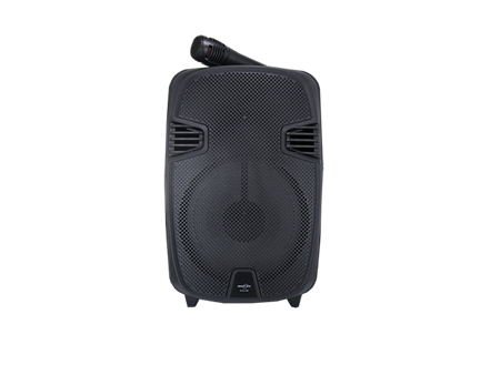 Picture of GTS-1248 8''Wireless speaker/1*8