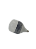 Picture of RED 125W B-GFS B22 LED B-Series/1*24