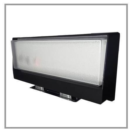 Picture of AUS LPWL-100D01 100W solar wall lght/1*20