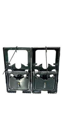 Picture of BS-7185 Mouse Trap 2pc/1*60