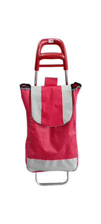 Picture of K-GWC001 (Shopping Trolley/1*16