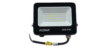图片 AUS EK-05 30W  LED FLOODLIGHT /1*20