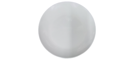 Picture of P1005-11 1p round plate 11 re/wh/1*84