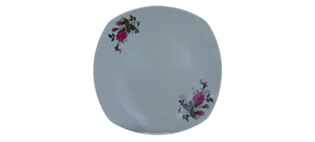 Picture of P1001-10 1p Square plate 10 print/1*72