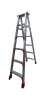 Picture of RZT-JG3M 3m strengthens LADDER/1*5
