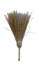 Picture of GRASS BROOM/1*50