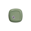 Picture of P1004-8 1pSquare plate 8 green/1*96