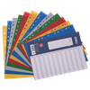 Picture of E5725A Dividers A4 Printed 1-12/1*200