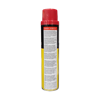 Picture of RG4Y48S 1P 300ml BUTANE GAS/1*48