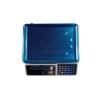 Picture of BS-3043 DIGITAL PRICE SCALE/1*6