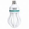 Picture of 105W(F)B22energy saver/1*12