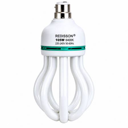 Picture of 105W(F)B22energy saver/1*12