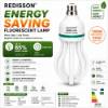 Picture of 105W(F)B22energy saver/1*12