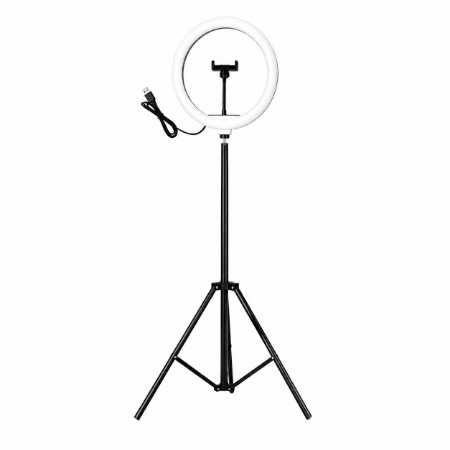 Picture of BS-4261 12'' RING FILL LIGHT AND POLE/1*30