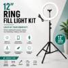 Picture of BS-4261 12'' RING FILL LIGHT AND POLE/1*30