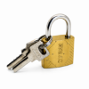 Picture of EX323850 12p padlocks/1*20