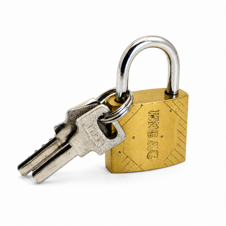 Picture of EX323850 12p padlocks/1*20