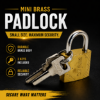 Picture of EX323850 12p padlocks/1*20