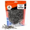 Picture of JS55-20  500g common nails/1*20