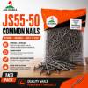 Picture of JS55-50  1KG common nails/1*10