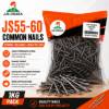 Picture of JS55-60  1KG common nails/1*10