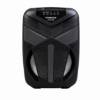 Picture of CH-8166 8'' Soundspeaker/1*12
