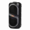 Picture of CH-8260 8''*2 Soundspeaker/1*6