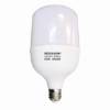 Picture of 50W B22 RED LED BULB/1*24