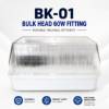 Picture of BK-01(Bulk Head 60w fitting)/1*12