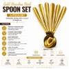Picture of AG-0047 SPOONS 6PCS/1*100