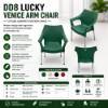 Picture of DD8 Lucky Venice arm colorchair/1*1