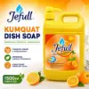 Picture of XJA-1500A JEFULL Dishwashing liquid/1*12